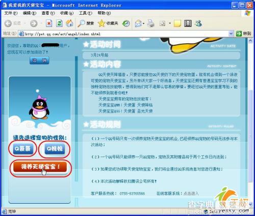 QQ天使送QQ宠物 喜欢的朋友快去领养吧2