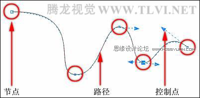 在CorelDRAW中的对象概述与选择对象技巧图解4