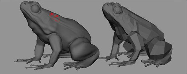 MAYA打造超真实的青蛙教程7