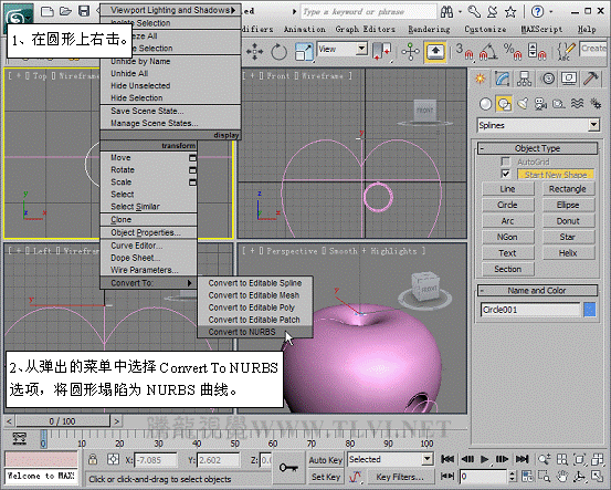 3dmax 2011 高级建模方式NURBS26