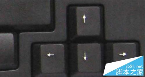 在excel中使用键盘方向键无法移动单元格的解决方法5