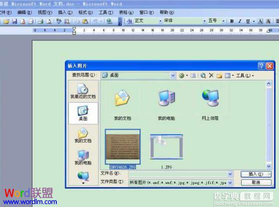 怎样将扫描文件和图片转到Word2003文档中3