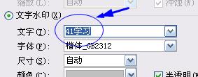 在Word2003中添加水印的方法10