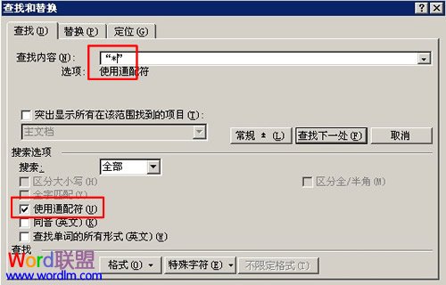 如何在Word2003中使用通配符进行模糊替换3