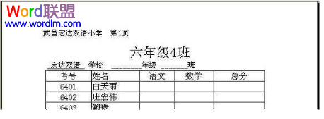 WPS表格如何进行页面设置21