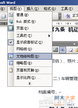 word2003文档结图构设置技巧图文详解1