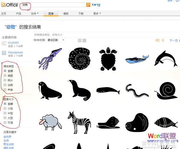 微软官网下载大量Word剪贴画图片的方法分享4