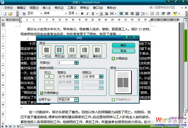 如何给word文档分栏的方法小结(word2003,word2007,word2010)9