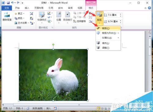 Word2010怎么提取局部的图像?4