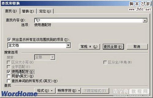 如何Word2003文档中使用通配符查找文本2