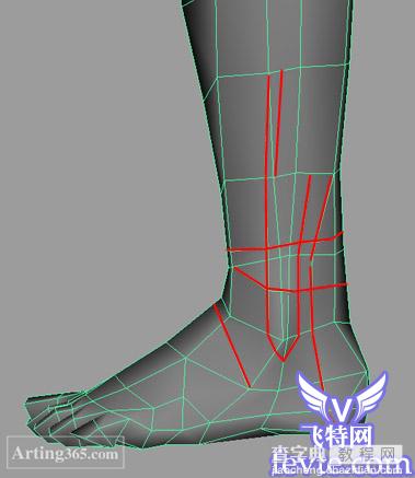 Maya初级建模教程:逼真的人脚建模制作过程11