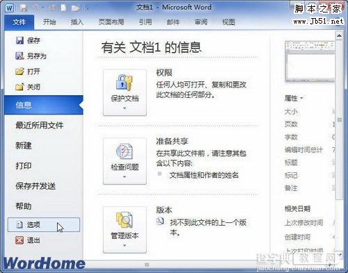 Word2010设置启用选定时自动选定整个单词功能的图文介绍1