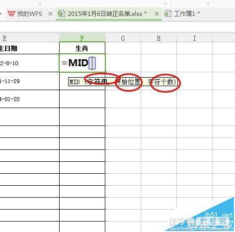 WPS表格怎么使用mid函数快速的计算生肖?2