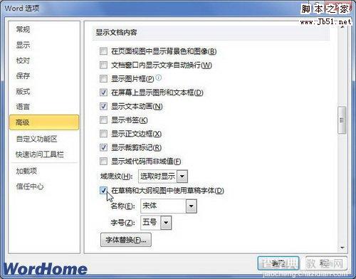 如何在Word2010草稿和大纲视图中使用草稿字体2