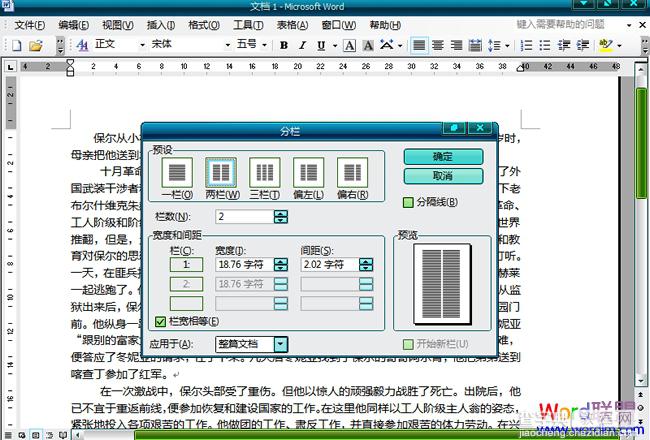 如何给word文档分栏的方法小结(word2003,word2007,word2010)6
