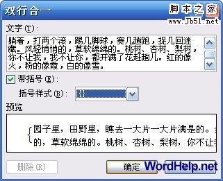 如何将Word中的双行合一的设置方法介绍3