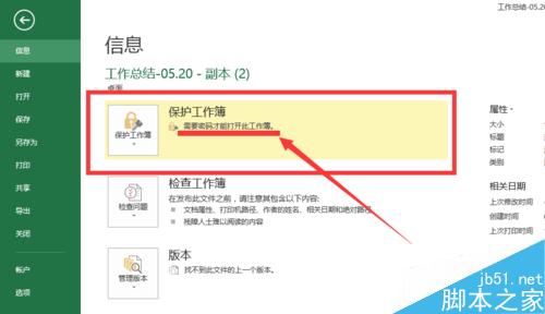 excel2013如何设置单重密码和双重密码?6