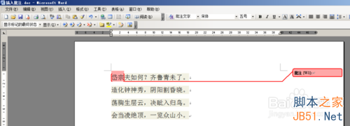 word2003如何在文档中插入批注?5