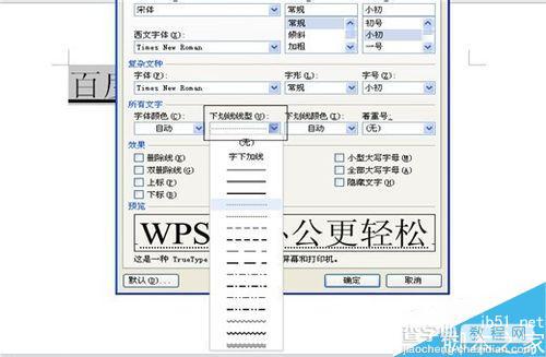 在Word(WPS)中怎么添加文字下划线并进行设置?7