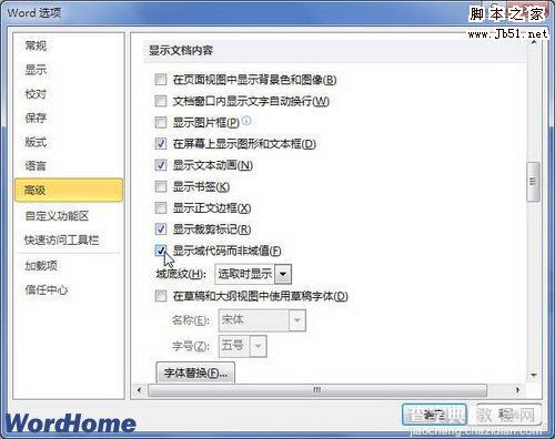 在Word2010文档中显示域代码而非域值的图文介绍2