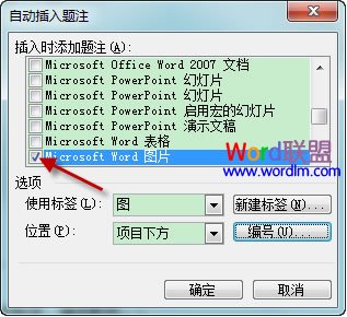 在Word 2003文档中如何自动插入题注2