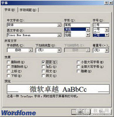 Word2007阴影等字体效果的设置图文步骤2