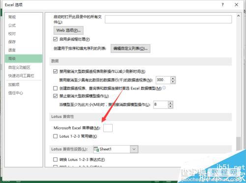 Excel2013在编辑表格时不能输入斜杠怎么解决?8