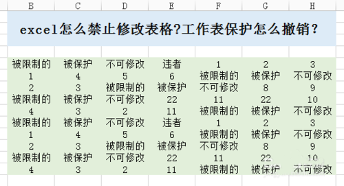 excel怎么禁止修改表格?工作表进行保护和撤销方法1