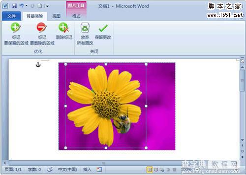 Word 2010去除图片背景技巧2