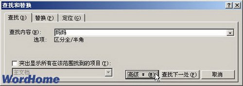 如何在Word2003文档中查找带有格式的文本2