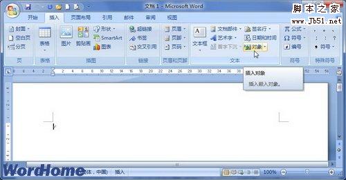 在Word2007中插入链接到文件的对象的图文介绍1