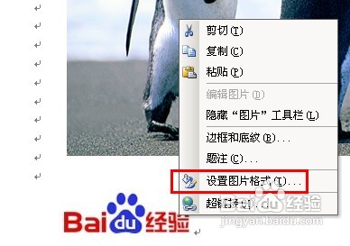 教你用Word给图片加水印 无需任何图片处理软件20