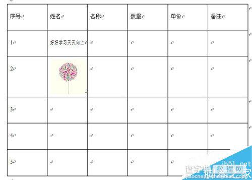 在word文档中运用编辑表格的几个技巧介绍13