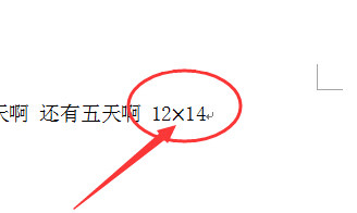 在word文档中怎么输入X的乘号?7