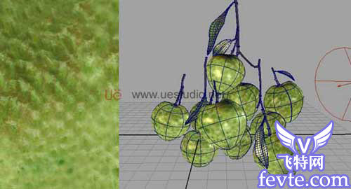 用Maya制做荔枝、Maya制作辣椒和瓶子及Combustion合成19