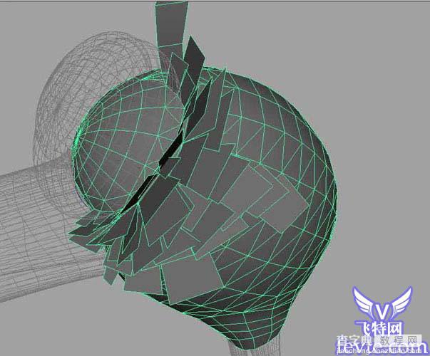 Maya建模教程：Maya鸟类建模5