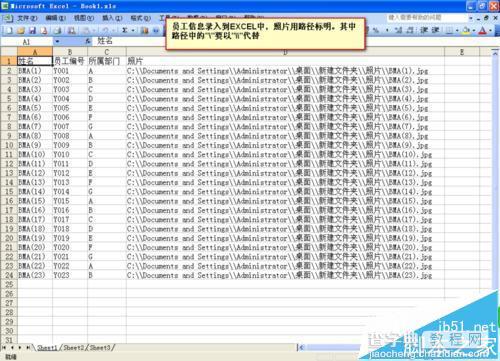 word怎么利用邮件合并功能批量制作胸卡和工作证?3