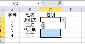 excel2010怎么制作下拉列表? excel下拉列表的三种制作方法12