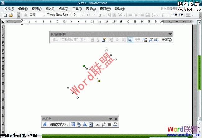 Word 2003文档中去水印的方法4