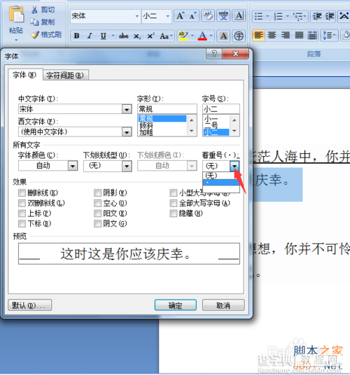 word2007给文字添加下划线和着重号8