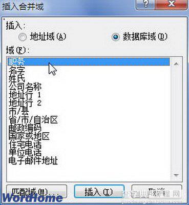 如何在Word2010文档中插入合并域2