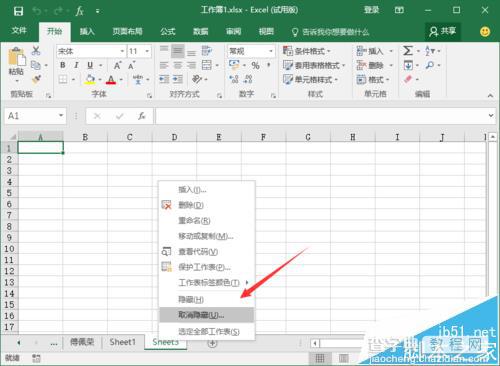 Excel2016工作表该怎么隐藏?5