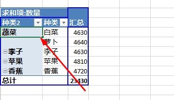 Excel2013数据透视表字段分组图文步骤7