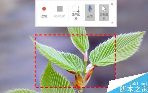 用PowerPoint2016 录制屏幕录像功能来录制软件4