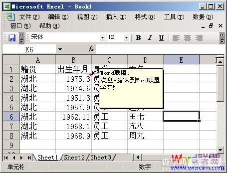 如何在Excel2003中添加单元格简介说明文字3