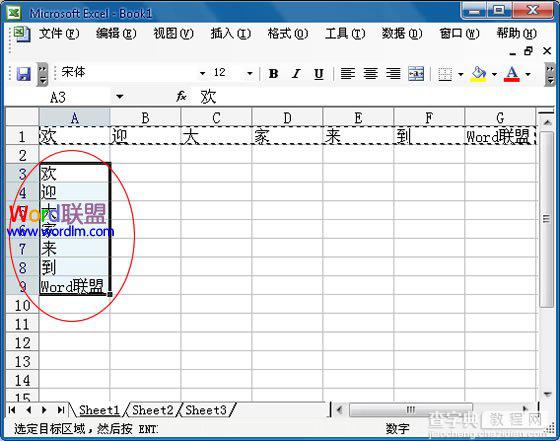 如何在Excel2003中将行中的数据复制到列中5