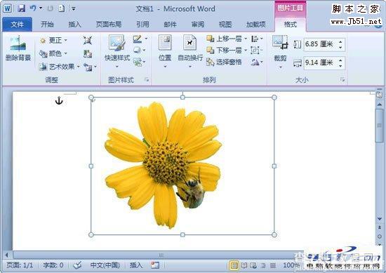 如何使用Word2010删除图片背景3