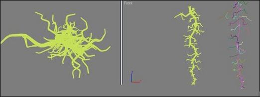 3ds Max教程:制作饱满多汁的葡萄6