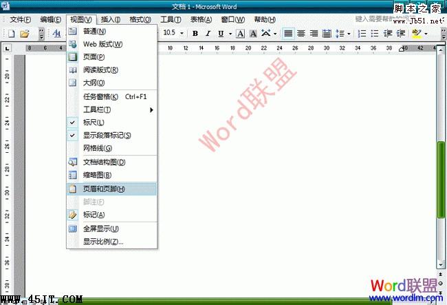 Word 2003文档中去水印的方法3