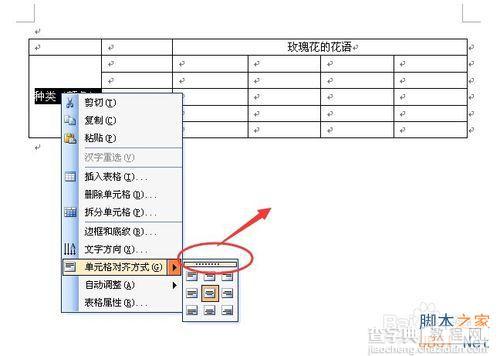 word文档中绘制表格单元格内容居中的问题介绍9